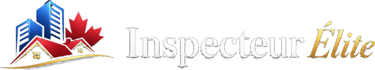Inspecteur Élite